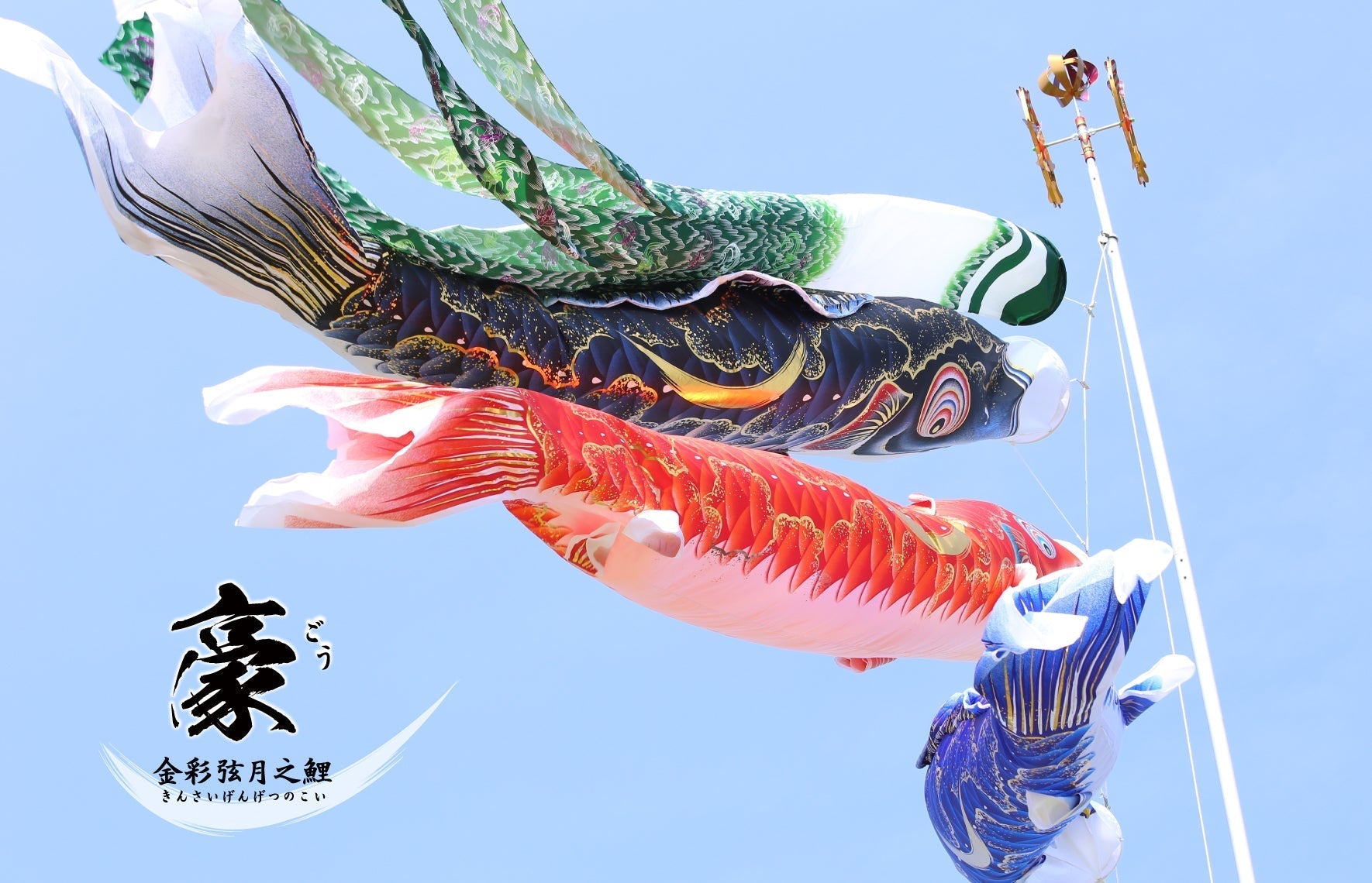 金彩弦月之鯉【豪】 – 人形の徳永