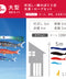 金彩弦月之鯉【豪】6点大型セット