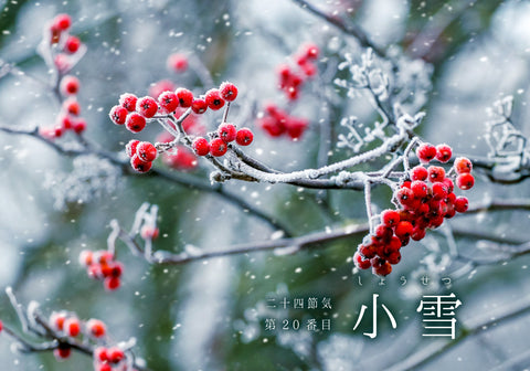 第20番【小雪（しょうせつ）】
