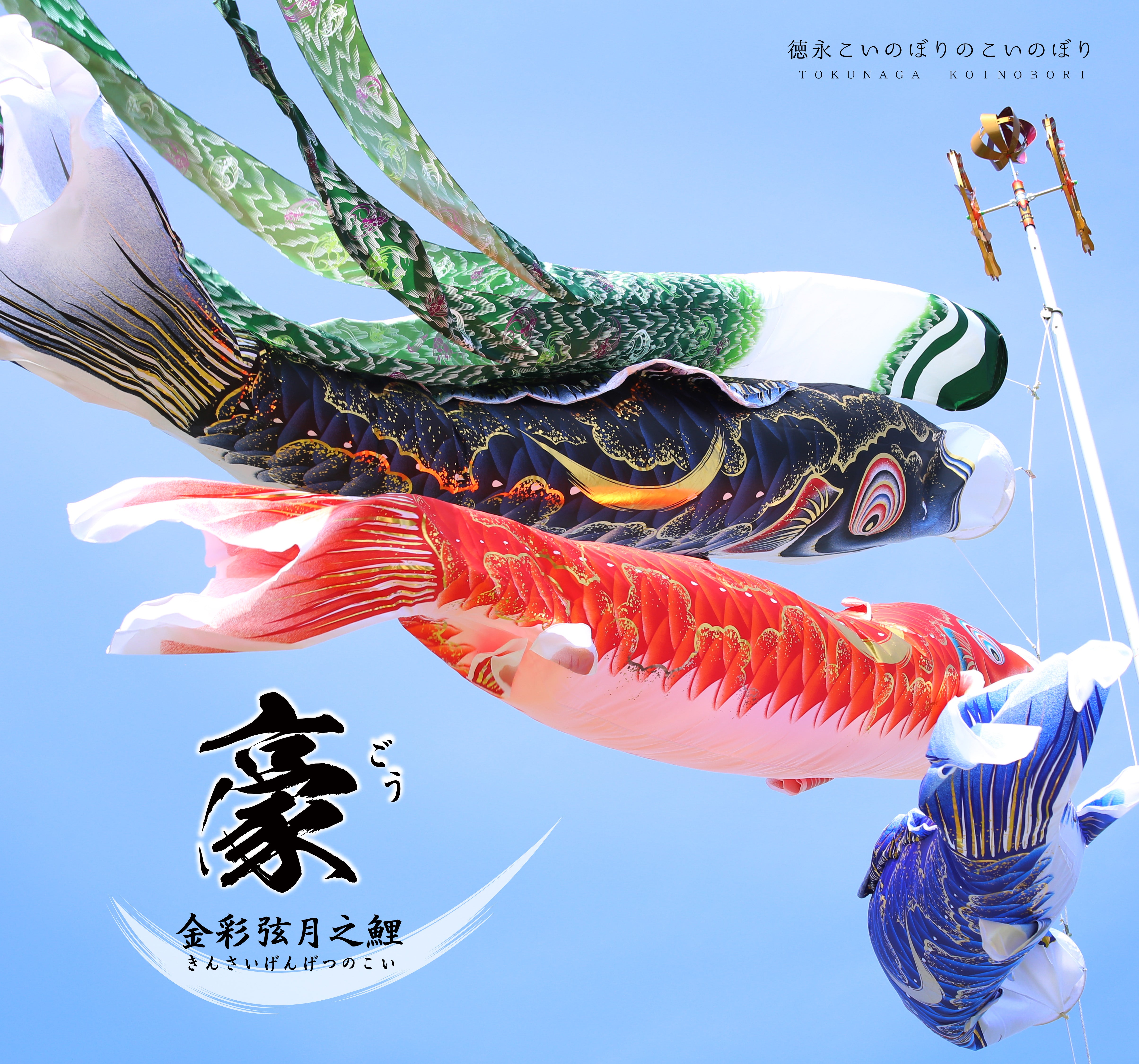 金彩弦月之鯉【豪】6点大型セット – 人形の徳永