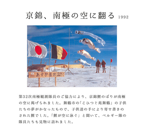 献上手染友禅之鯉【京錦】大型６点セット