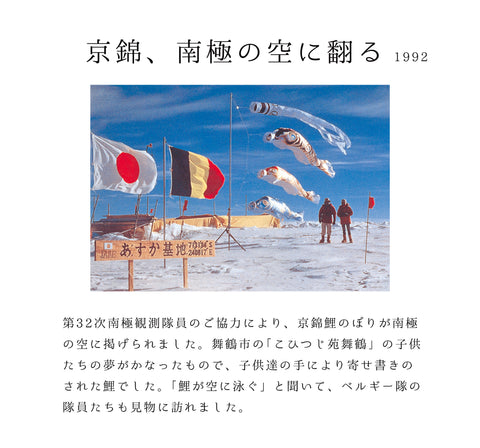 献上手染友禅之鯉【京錦】６点にわデコセット