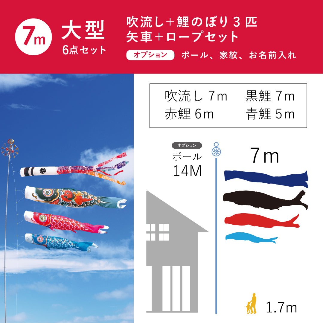 鯉のぼり6m 6点セット 錦龍】6点大型セット｜徳永こいのぼり公式 – 人形の徳永
