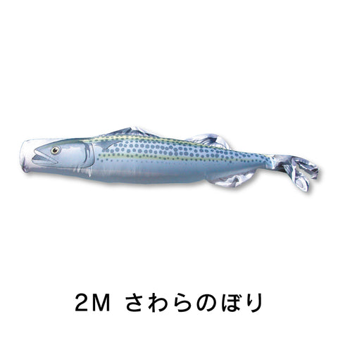 さわらのぼり　のぼり水族館