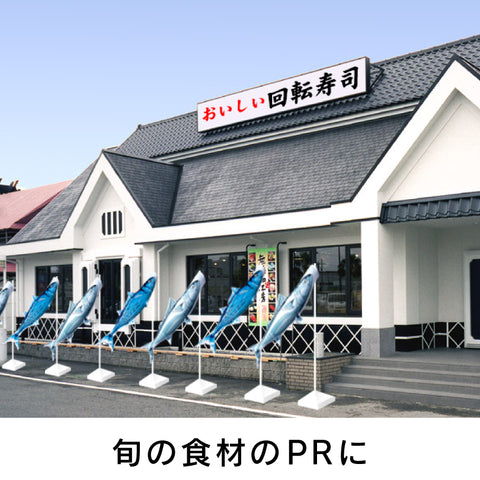 Bonito streamer Nobori Aquarium 